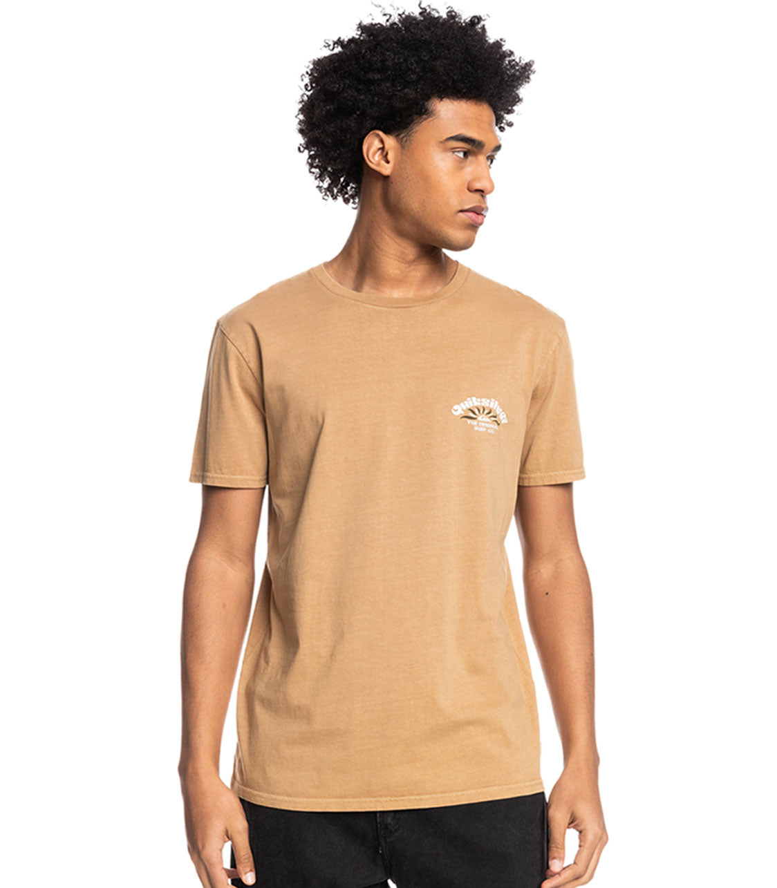 QUIKSILVER Onscript Men's Tshirt Regular Fit