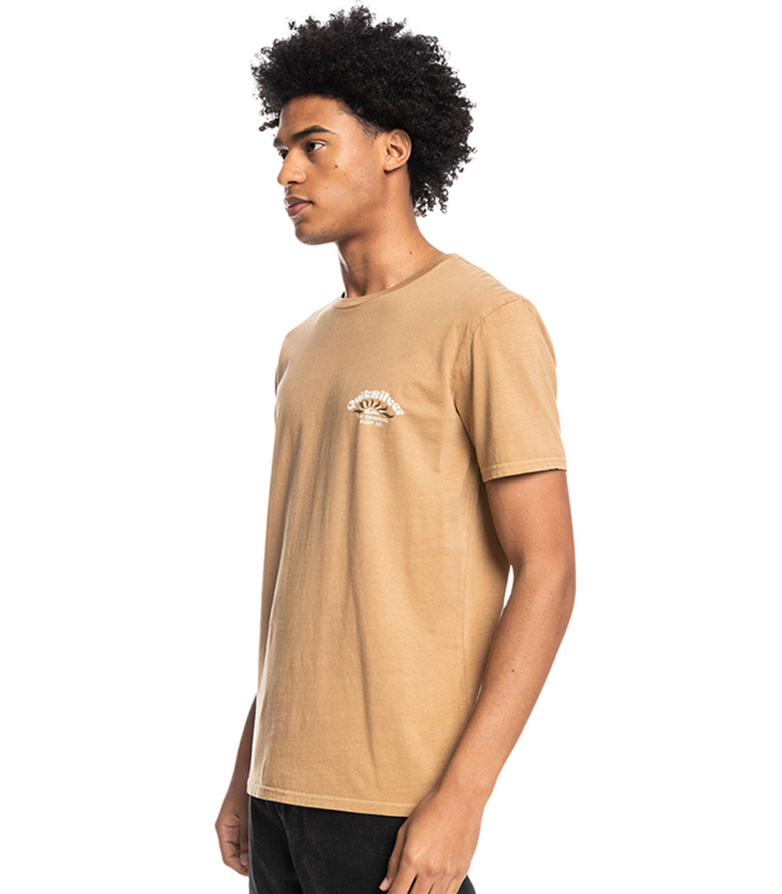 QUIKSILVER Onscript Men's Tshirt Regular Fit