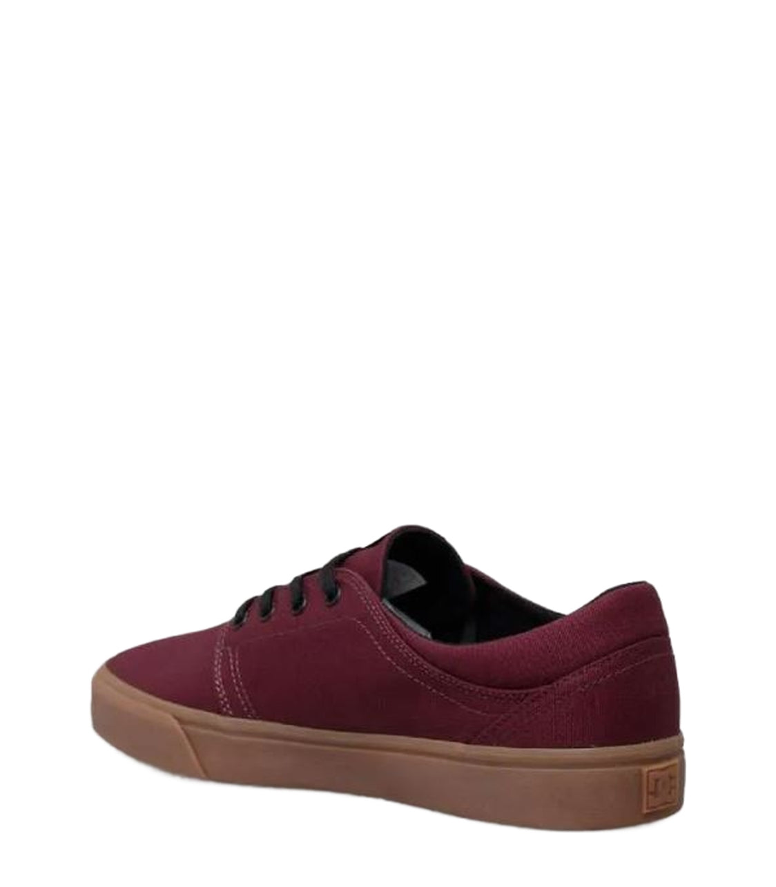 DC Trase Tx Men's Shoes