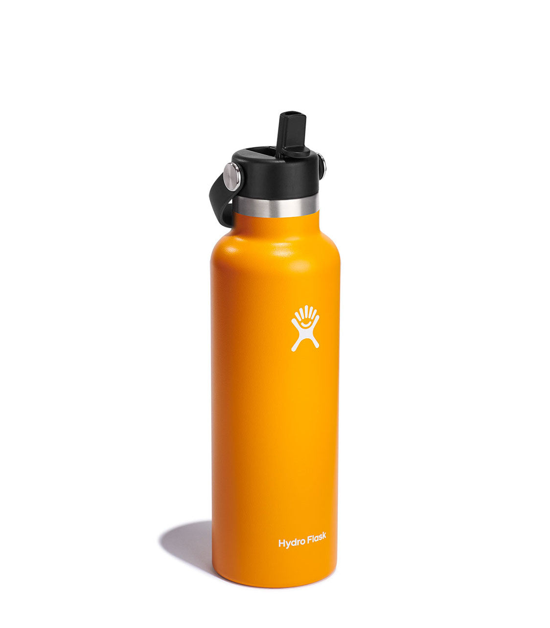 HYDRO FLASK 21 Oz Standard With Flex Straw Cap Starfish