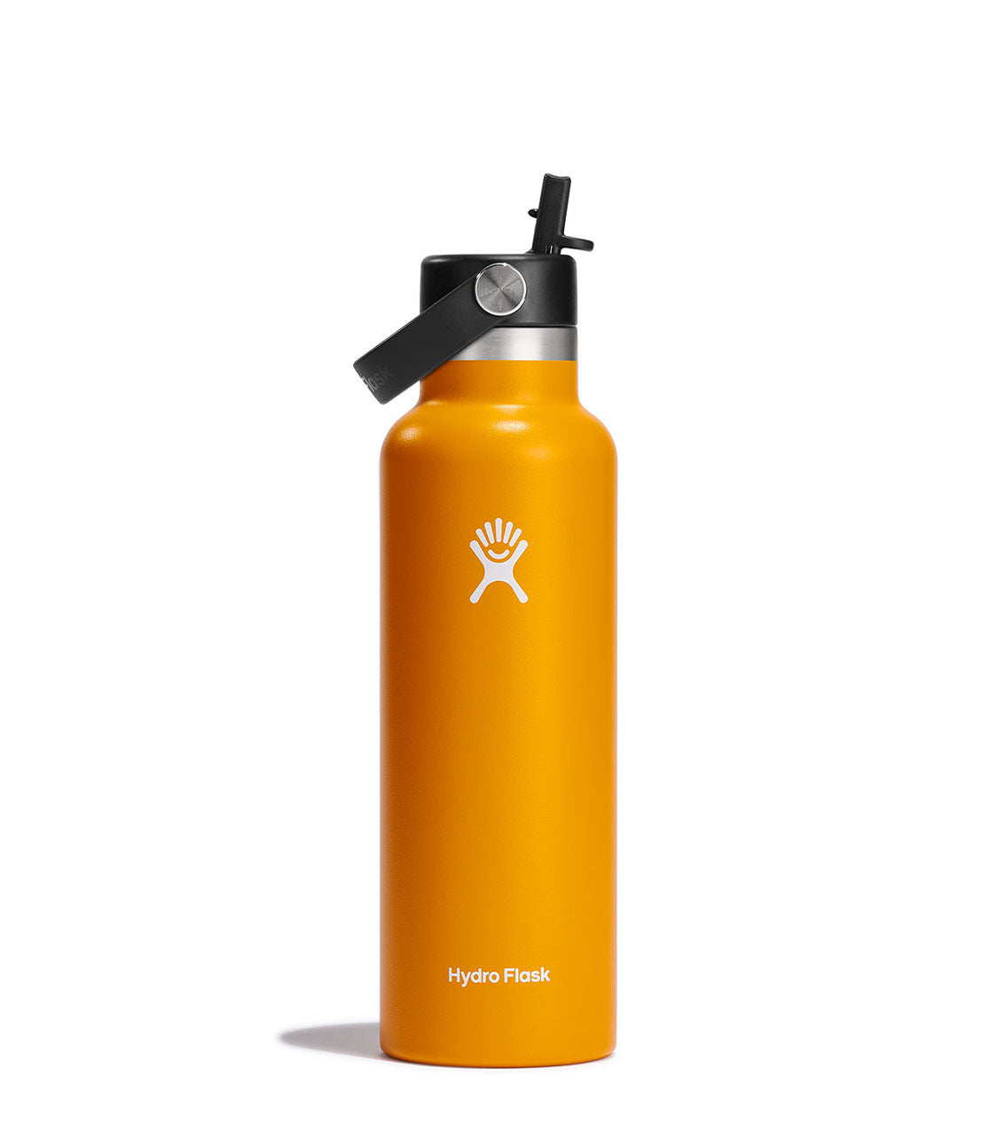 HYDRO FLASK 21 Oz Standard With Flex Straw Cap Starfish