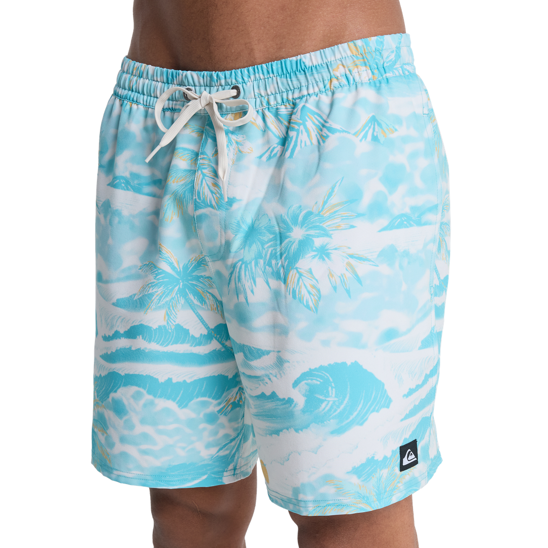 Swim Shorts