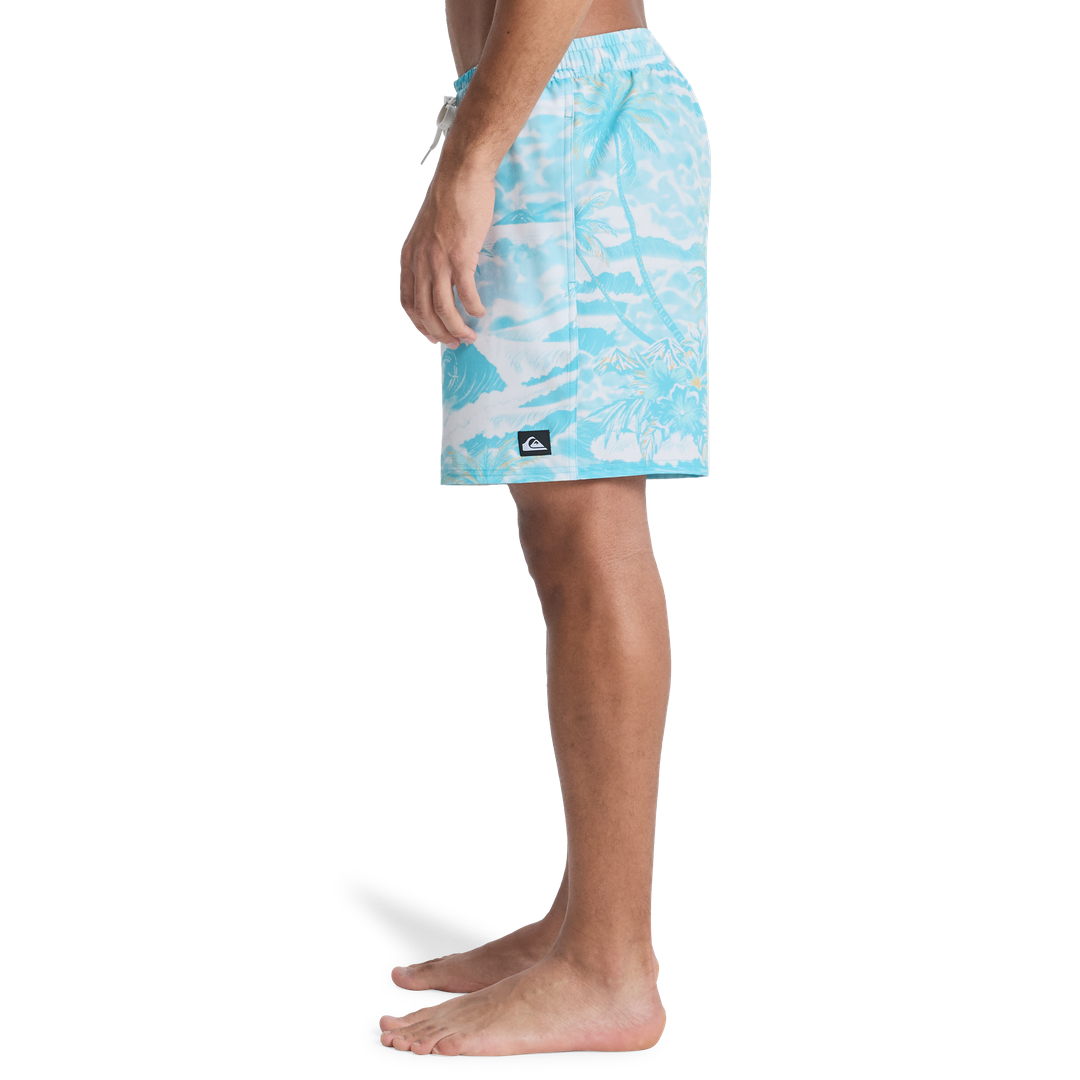 Swim Shorts