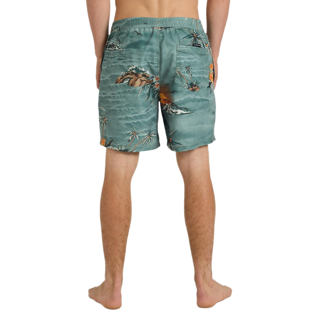Swim Shorts