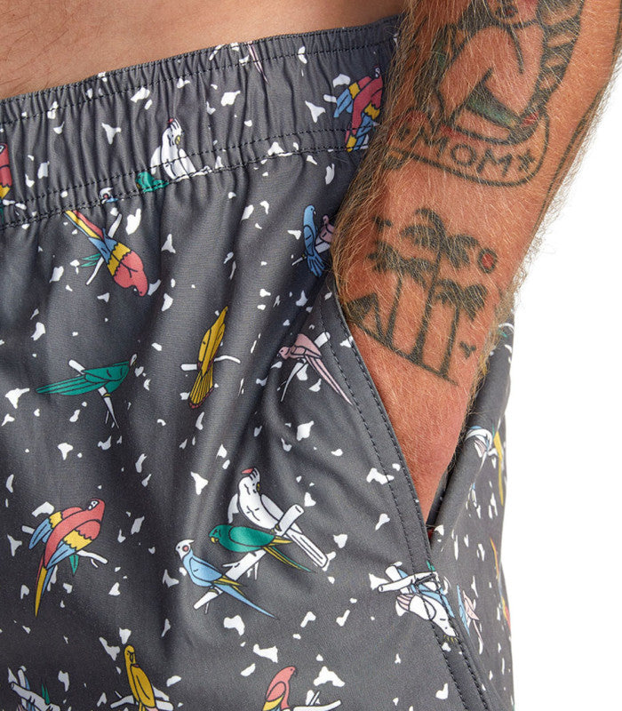 RVCA Lp X Klw Elastic 17