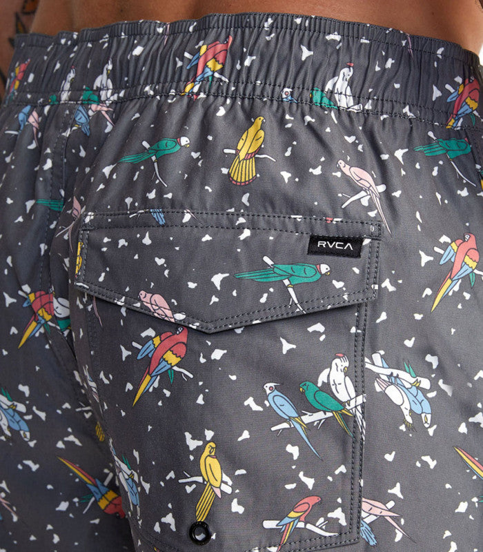 RVCA Lp X Klw Elastic 17