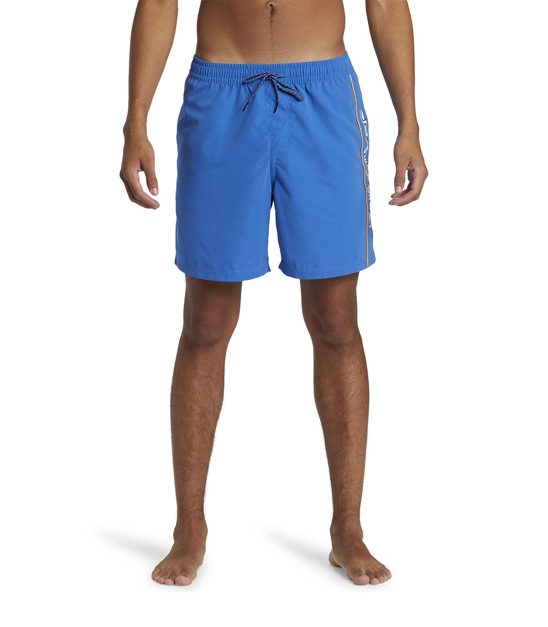 QUIKSILVER Everyday Vert Men's Volley Short 17"