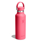 HYDRO FLASK HYDRO FLASK 18OZ STANDARD FLEX CAP POPSTAR PINK