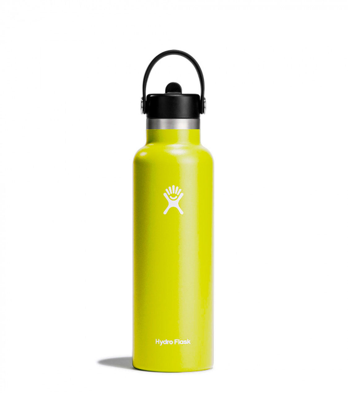 HYDRO FLASK 21 Oz Standard Flex Straw Cap Cactus