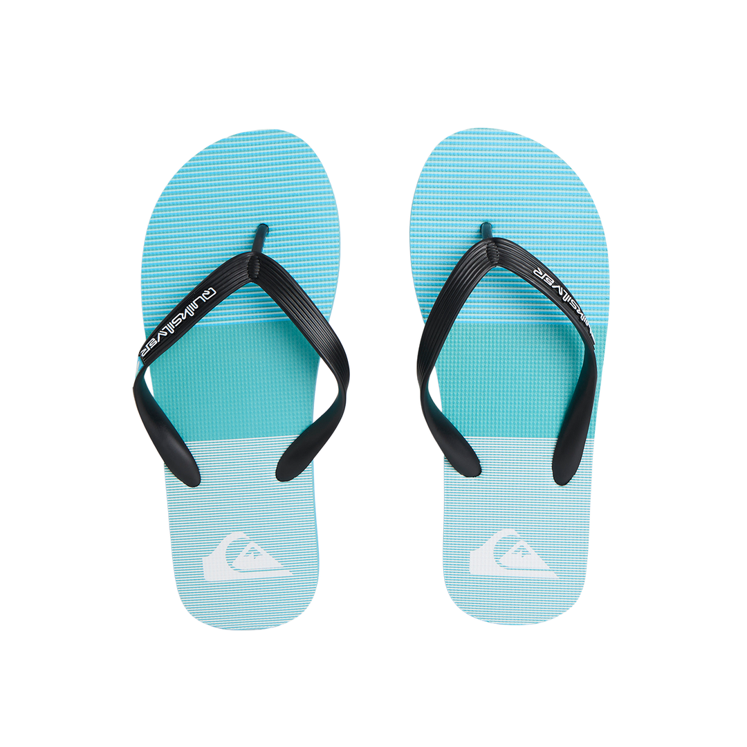 Moncata Art Flip Flops/Slippers