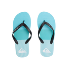 QUIKSILVER Moncata Art Flip Flops/Slippers