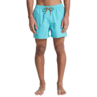 QUIKSILVER EVERYDAY SOLID VOLLEY 15 ID BOARDSHORTS/SWIM SHORTS