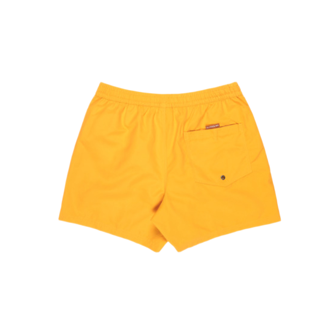 SWIM SHORTS