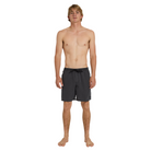 Quiksilver Everyday Surfwash Volley 17Nb Boardshorts/ Swim Shorts