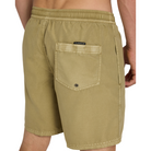 Quiksilver Everyday Surfwash Volley 17Nb Boardshorts/ Swim Shorts