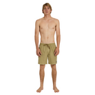 Quiksilver Everyday Surfwash Volley 17Nb Boardshorts/ Swim Shorts