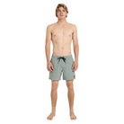 Quiksilver Everyday Solid Volley 15 Id Boardshorts/ Swim Shorts