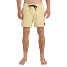 Quiksilver Everyday Solid Volley 15 Id Boardshorts/ Swim Shorts