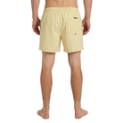 Quiksilver Everyday Solid Volley 15 Id Boardshorts/ Swim Shorts