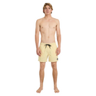 Quiksilver Everyday Solid Volley 15 Id Boardshorts/ Swim Shorts